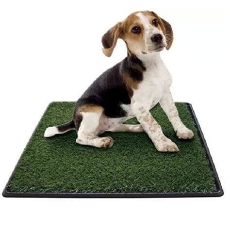 Tapete Sanitario para perro Green Carpet GRANDE