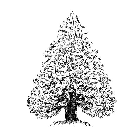Forest tree oak black and white graphics vintage | Premium Vector