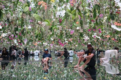 Image result for TeamLab Underware