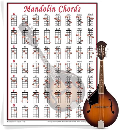 Image result for Mandolin Tuning Notes