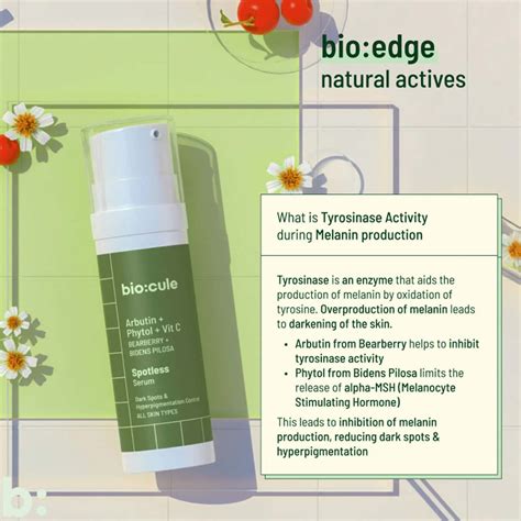 Buy BIOCULE SPOTLESS VITAMIN C FACE SERUM WITH NATURAL ARBUTIN+PHYTOL ...