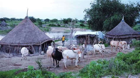 Villagers lured for aid, killed in South Sudan