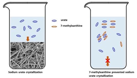 7-Methylxanthine Inhibits the Formation of Monosodium Urate Crystals by ...