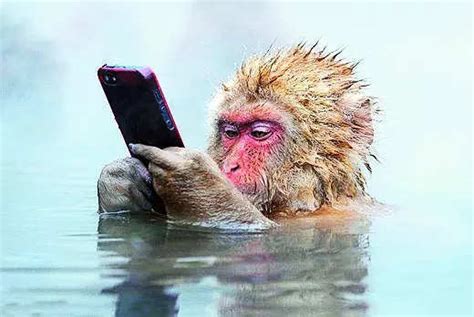 Smart about smartphones: India must act fast to retain electronics ...