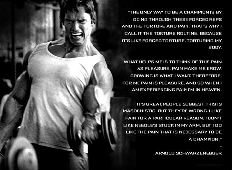 Arnold Schwarzenegger Pain Quotes
