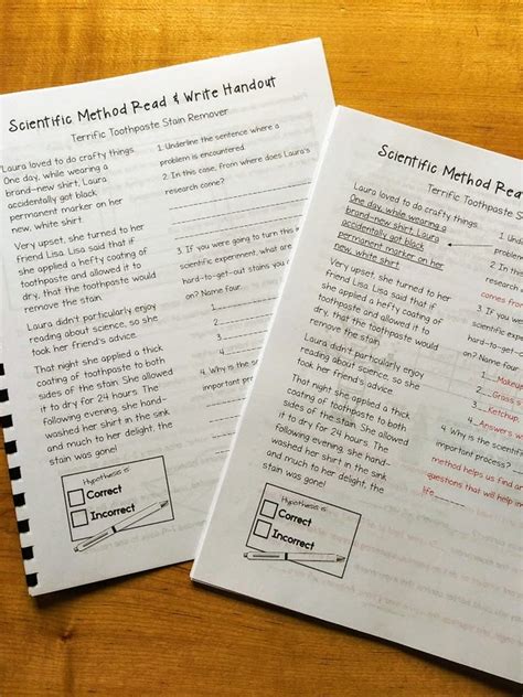 Image result for Scientific Method Middle School