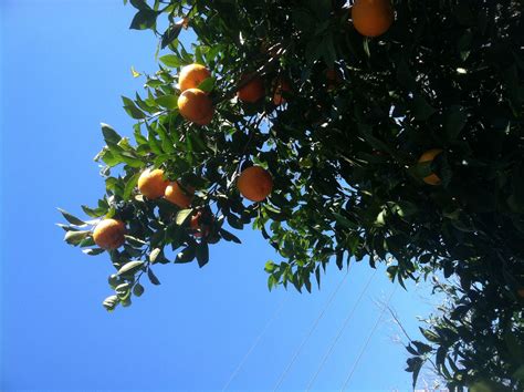 What is Tannerite and why is it so popular in SE Texas?