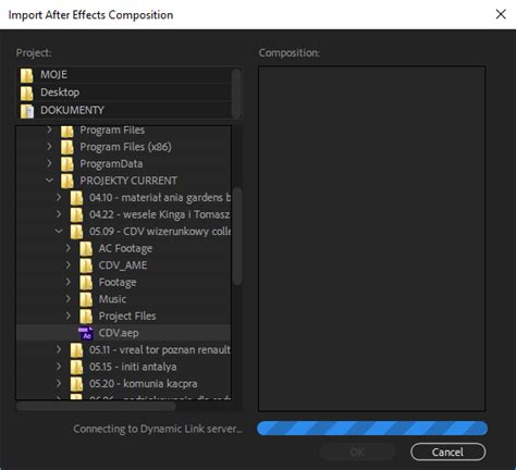 Image result for Dynamic Link Problem