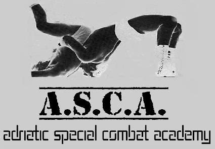 ASCA WWE 的图像结果