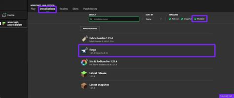 +Install Forge Modloader 的图像结果