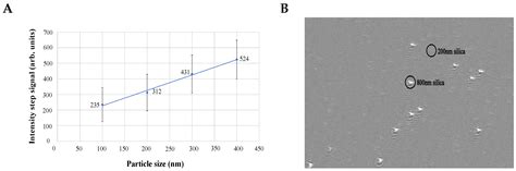 The Employment of the Surface Plasmon Resonance (SPR) Microscopy Sensor ...