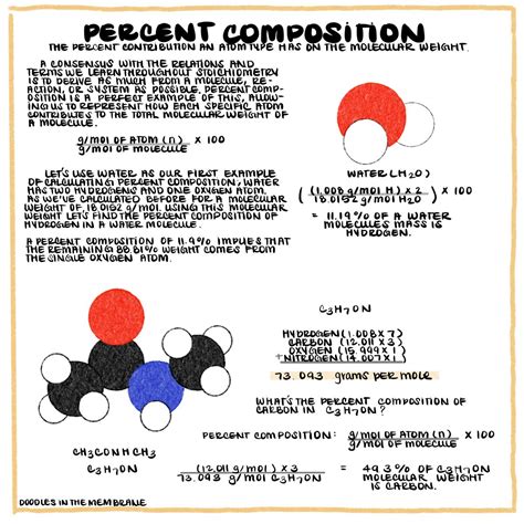 Image result for Percent Composition Examples