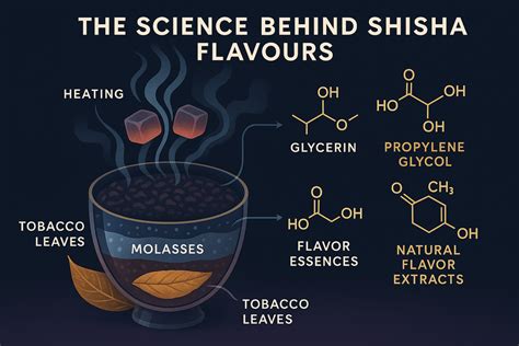The Science Behind Shisha Flavours: How Molasses Get Their Taste ...