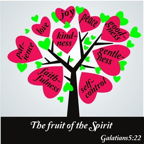What Is the Fruit of the Spirit? - Bible Portal