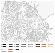 Image result for Intricate Color by Number