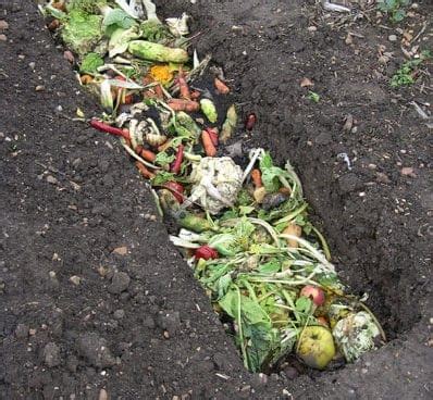 How to make Compost at home | Benefits | Methods | Advantages | Disadv ...