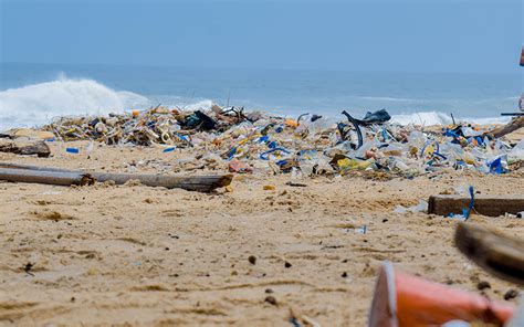 What is Single-use Plastic and Why is it Hazardous to the Environment ...