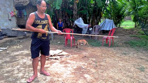 A Sea Of Knowledge | Nature inFocus