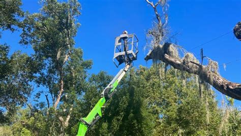 Lutz tree trimmer critically injured after hitting live power line with ...