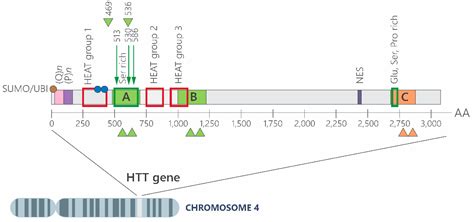 AI-Enhanced Transcriptomic Discovery of Druggable Targets and ...