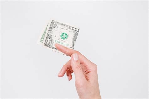 How Much Does It Cost to Freeze Your Eggs? A Full Breakdown | Bird&Be