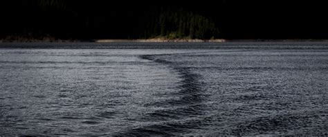 Download wallpaper 2560x1080 lake, water, ripples, dark dual wide 1080p ...
