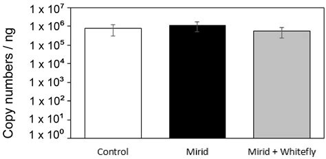 Begomovirus Transmission to Tomato Plants Is Not Hampered by Plant ...