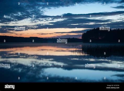 Image result for Class 8 Computer Simple
