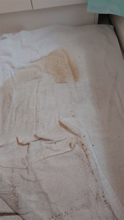 THE WATERFRONT MOTEL GRAND BARACHOIS (Grand-Barachois) - Lodging ...