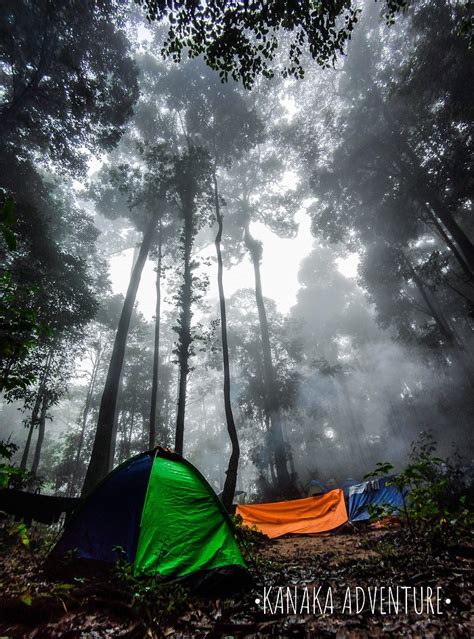 GUNUNG STONG STATE PARK RESORT (Rambai) - Hotel Reviews & Photos ...