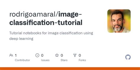 Image Classification Tutorial 的图像结果