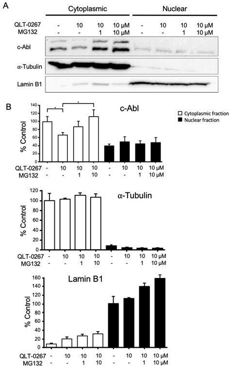 Combination Effects of Integrin-linked Kinase and Abelson Kinase ...