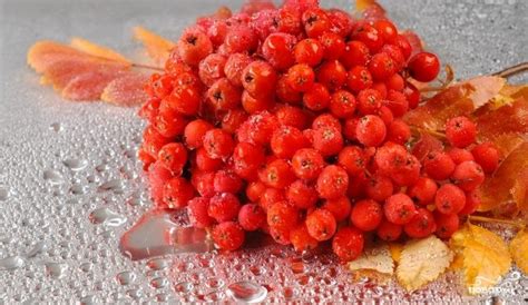 Варенье из сладкой рябины - пошаговый рецепт с фото на Повар.ру