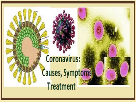 Coronavirus: Origin, Symptoms, Types and Infected countries