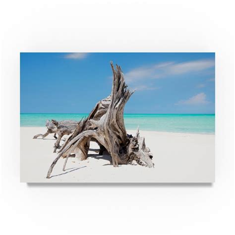 Natural Sculpture by Philippe Hugonnard, 12x19-Inch Canvas Wall Art ...