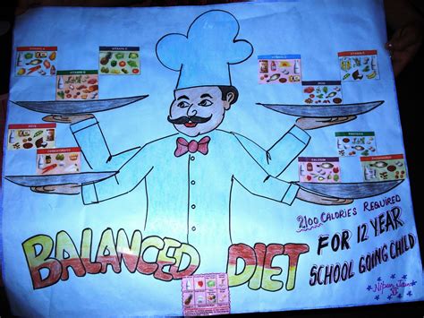 Normal Diet 的图像结果