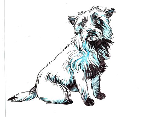 Toto Wizard of Oz Dog Pictures