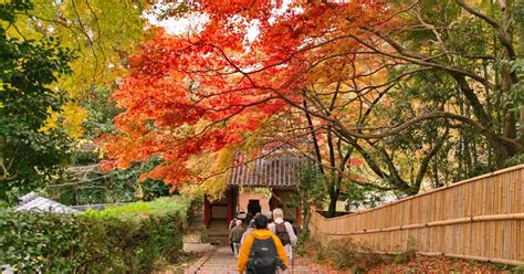 The Best Places To Visit In Japan During Autumn