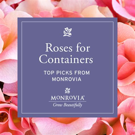 Resources for Retailers