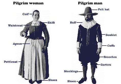 Wampanoag Help Pilgrims Why