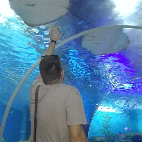 YIBIN JOY OCEANWORLD - All You Need to Know BEFORE You Go 2026 (with ...