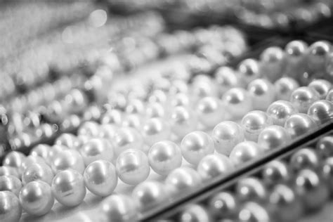 Does Removing the Pearl Kill the Oyster? - The Pretty Planeteer