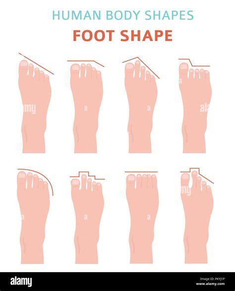 Different Types Of Feet Origins at Samuel Hagopian blog