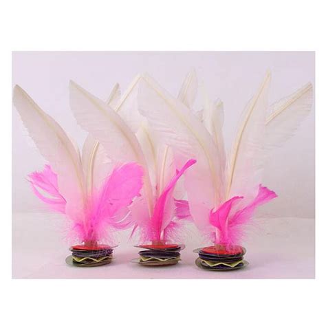 Chinese ShuttleCock 的图像结果