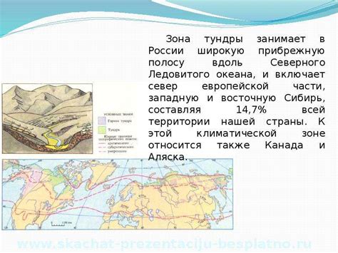 Тундра это природная зона краткое описание: Природная зона тундра ...