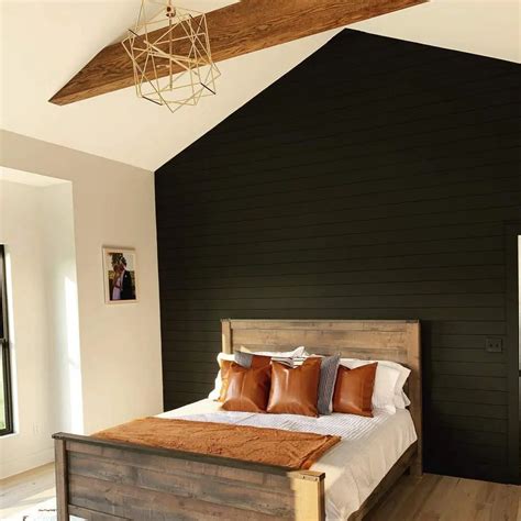 Obsessed with Black? You Need to See These 28+ Black Accent Wall Ideas!