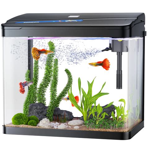 Petco Fish
