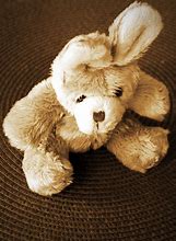 Image result for Gray Bunny Stuffed Animal