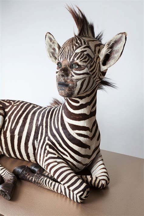 Human Taxidermy Legal