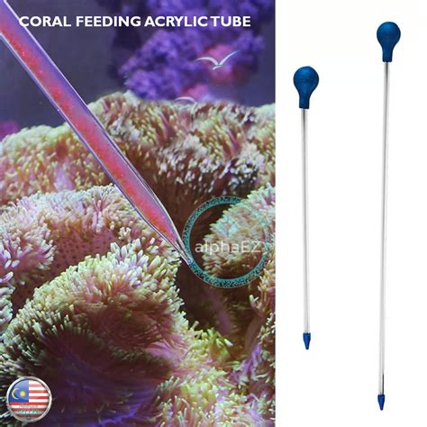 Marine Acrylic Coral Feeder Tube Liquid Feeding Marine Aquarium Reef ...